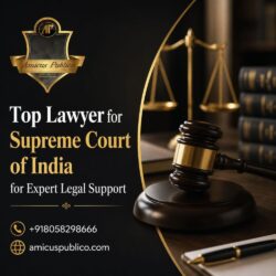 Top Lawyer for Supreme Court of India for Expert Legal Support
