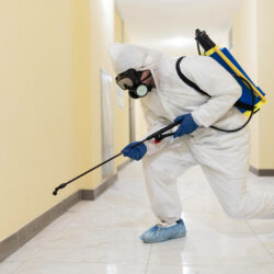 pest control 7 (1)
