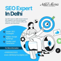 SEO EXPERT IN DELHI (1)