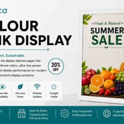 Colour E Ink Display