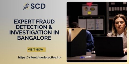 corporate-fraud-investigation corporate-fraud-investigation