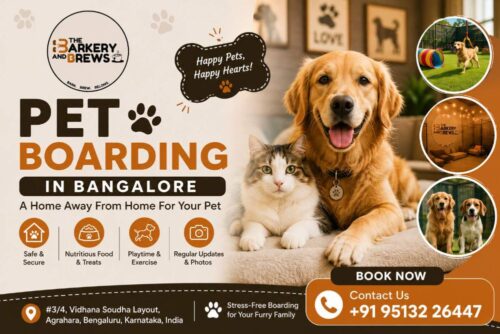 Pet Boarding in Bangalore Pet Boarding in Bangalore