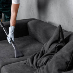 Professional Upholstery Cleaning Company