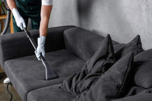 Professional Upholstery Cleaning Company Professional Upholstery Cleaning Company