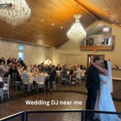 Wedding DJ near me (9)