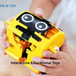 Interactive Educational Toys (4)