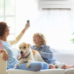 womandogandboyunderairconditioningsystem-1920w4