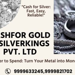 Silver Buyer in Delhi