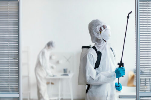 pest control 3 (1) pest control 3 (1)