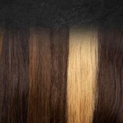 lestetica-salon-hair-services-02x 10-100kb