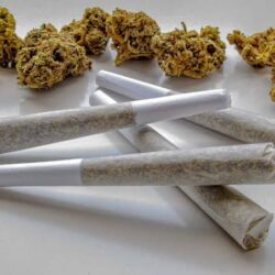 Prerolled Joints