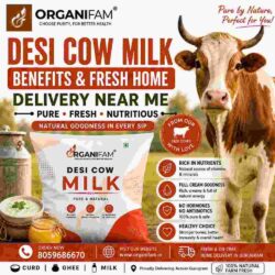 Desi Cow Milk Benefits & Fresh Home Delivery Near Me