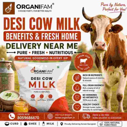 Desi Cow Milk Benefits & Fresh Home Delivery Near Me Desi Cow Milk Benefits & Fresh Home Delivery Near Me