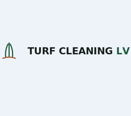 Turf Cleaning LV Turf Cleaning LV