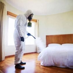 bed-bugs-treatment