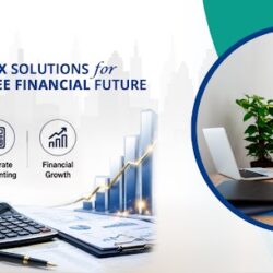 Tax Consultant in Vapi