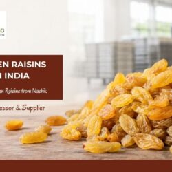 M M Raisins Blog
