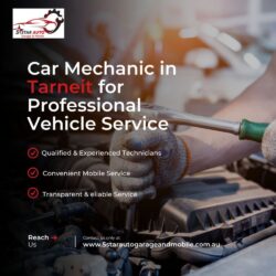 Car Mechanic in Tarneit