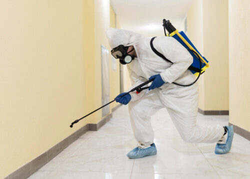 pest control 7 (1) pest control 7 (1)