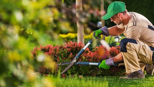 Professional Commercial Landscapes (2) Professional Commercial Landscapes (2)
