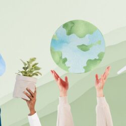 Sustainability Mastery Program