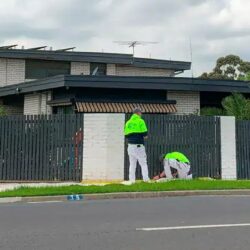 Painter-Sunbury-1