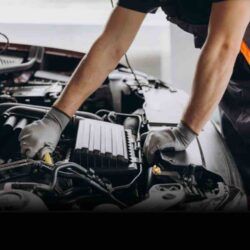 Professional Automotive Repair Ormiston – All Torque Automotive & Diesel