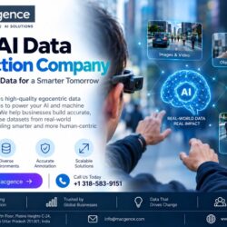 Top AI Data Collection Company
