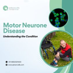 Motor Neurone Disease