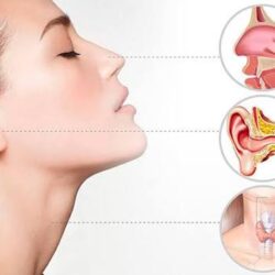 Ear Nose and Throat doctors