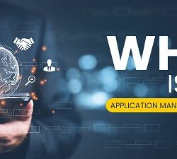 Application Managed Services (AMS)