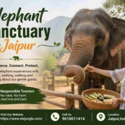 Elephant Sanctuary Jaipur