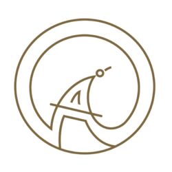 Untitled design