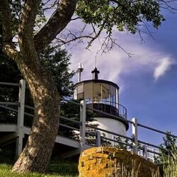Art Rooted in Local Character and Observation