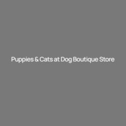 puppies & cat logo