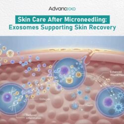 Skin Care After Microneedling (5)