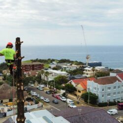 Tree Pruning Sydney1