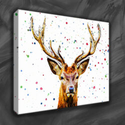 canvas prints -6