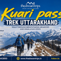 Kuari_pass_trek_uttarakhand_optimized_250