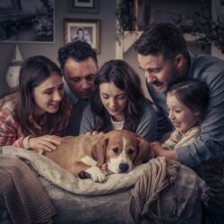 gentle pet passages