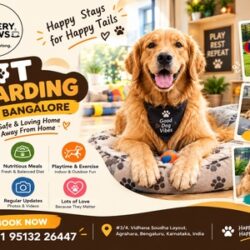 pet_boarding_bangalore_448x300