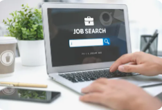 Job Search Services