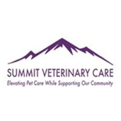 summitlogo