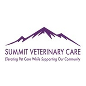 summitlogo summitlogo
