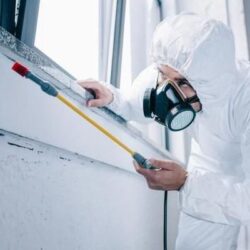 pest-control-exterminator