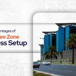 benefits of free zone company in dubai