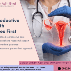 (Best gynaecologist in gaur City)