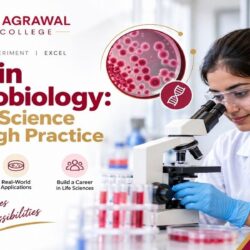 BSc in Microbiology - Learn Science Through Practice