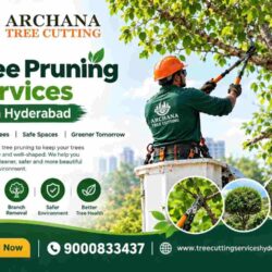 Tree Pruning Services in Hyderabad