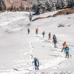 Kuari pass trek cost